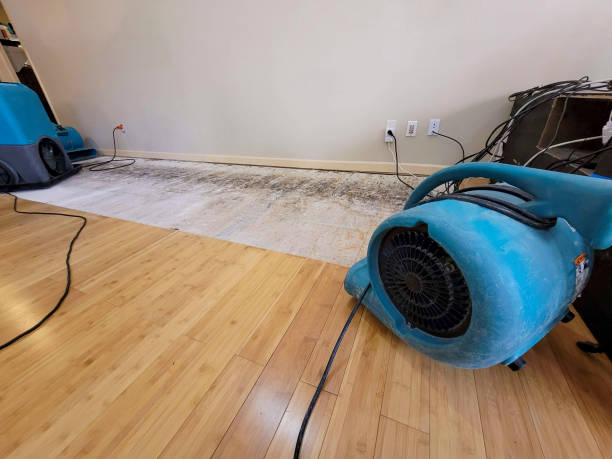 Professional Sewage Cleanup technician working in Spring Hill, KS